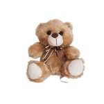 Urso Carinhoso