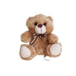Urso Carinhoso
