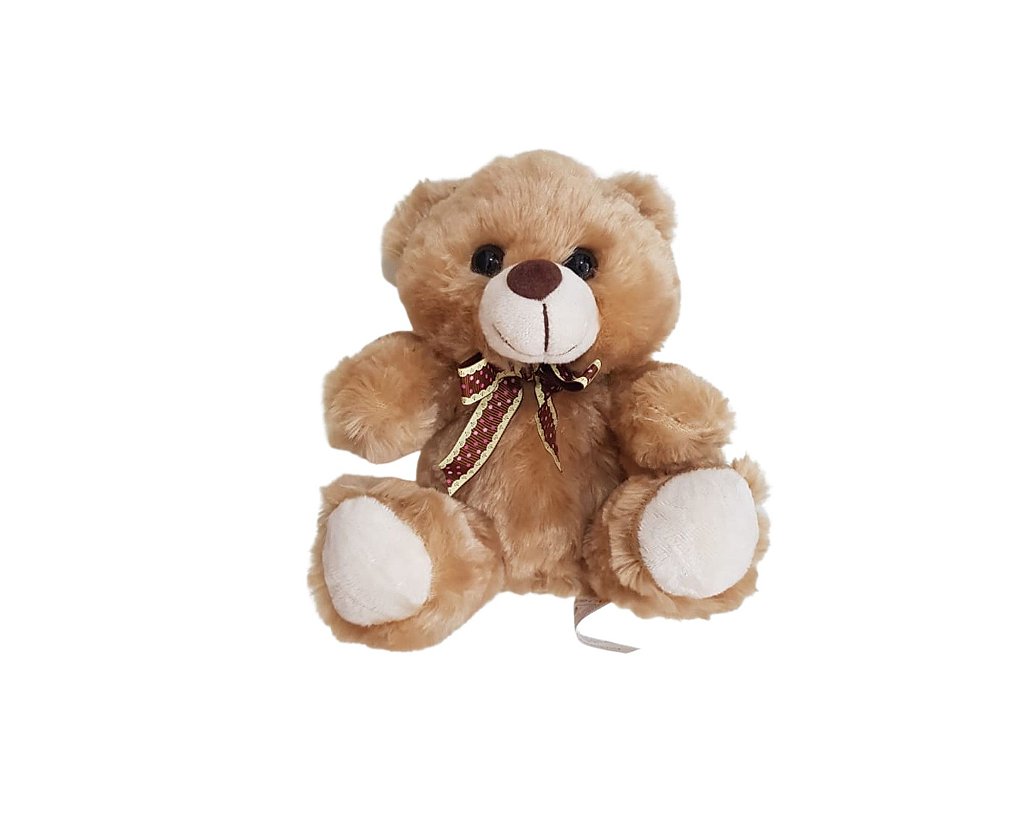 Urso Carinhoso