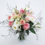 Rosas BH