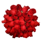 Bouquet Unique de Rosas Vermelho ou Colorido com 36 unds.