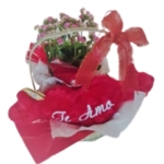 Cesta com Pelúcia Te Amo