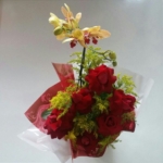 Orquídea e Rosas Selecionadas