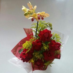 Orquídea e Rosas Selecionadas