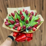 Tulipa Cores
