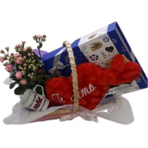 Cesta da Mamãe