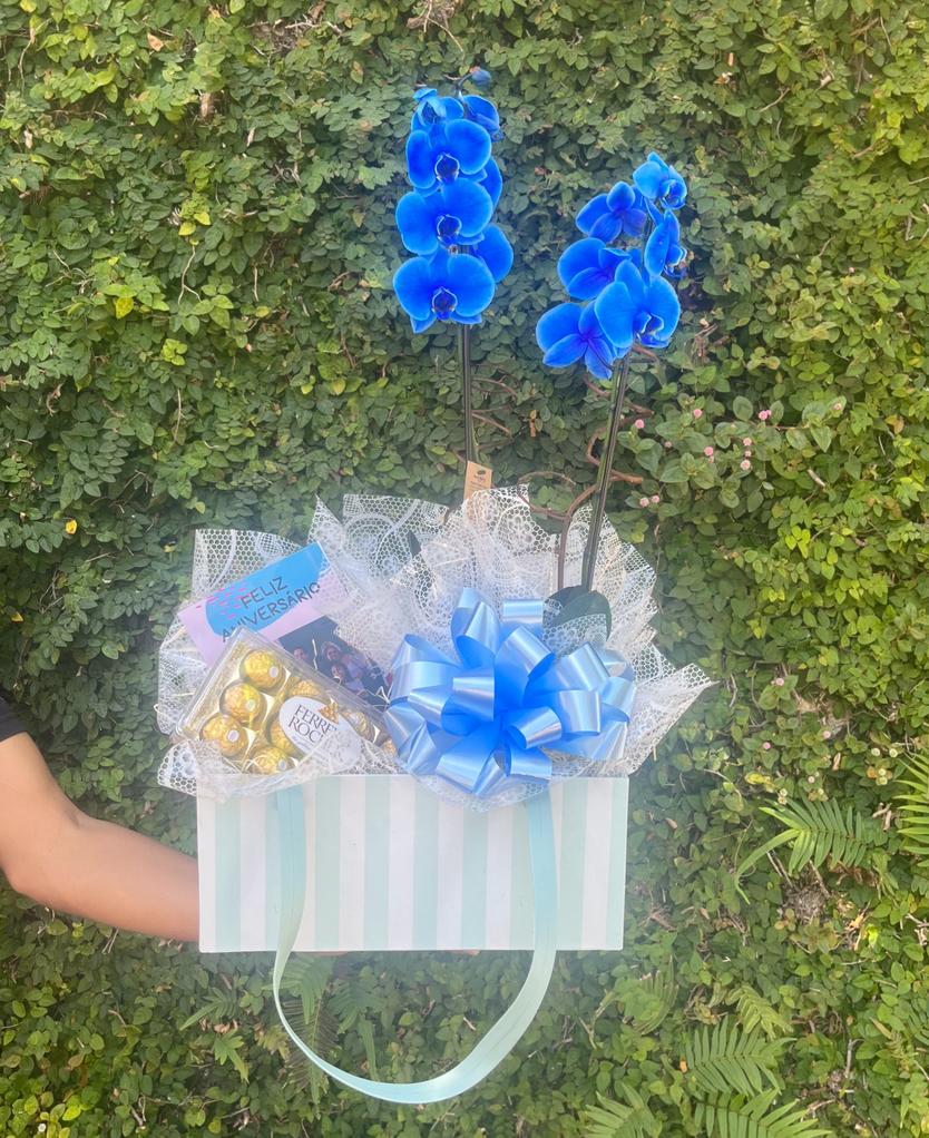 Orquídea Azul na Bag