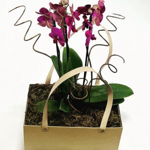 Orquídea Presente na Bag Personalizada