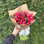 Tulipas Preço BH