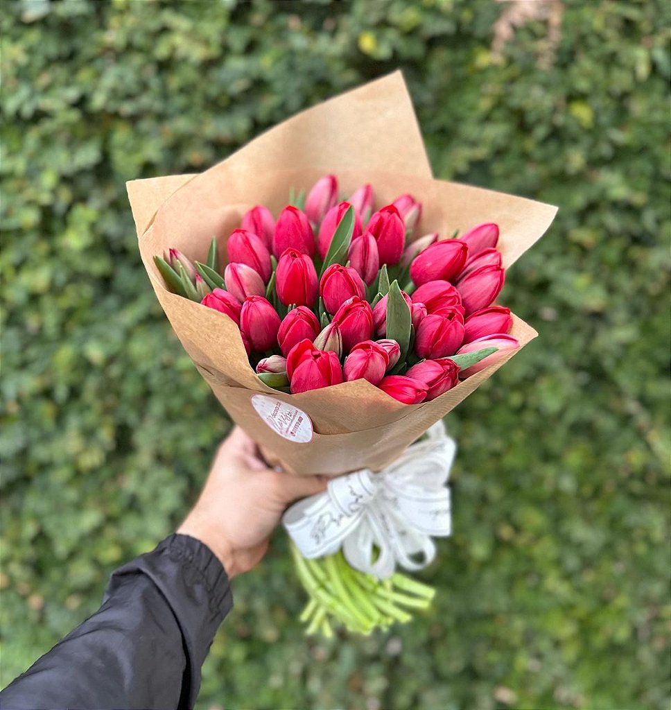 Tulipas Preço BH