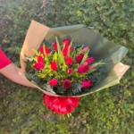 Tulipa Vermelha e Rosas