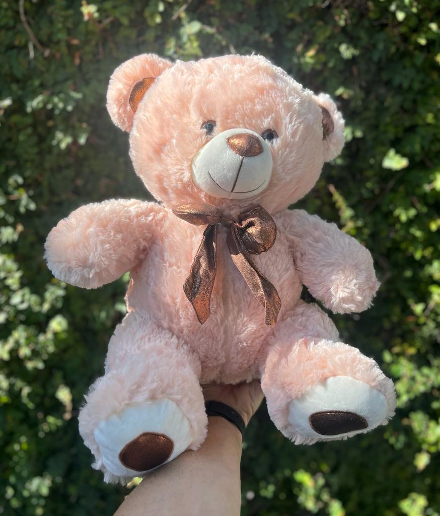 Urso de Pelúcia Grande