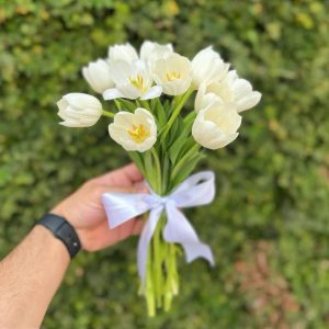 Tulipa-Branca-Simples