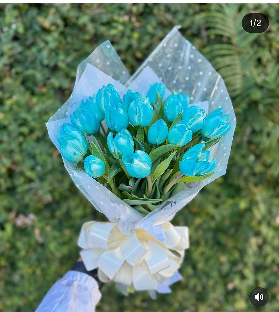 Tulipas Azuis